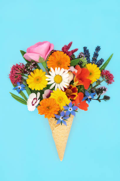 istock Surreal Summer Flower Ice Cream Cone Abstract Art 1454806292
