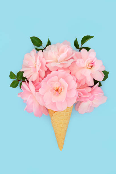 istock Surreal Pink Rose Flower Ice Cream Cone 1454806339