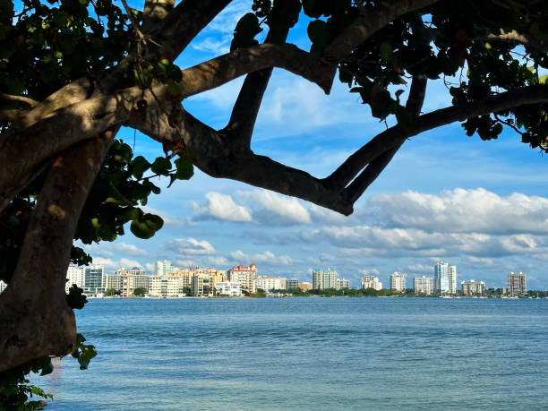 istock Waterfront  cityscape of Sarasota 1454806609