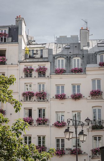 A view of a beautiful white building with flowers in pots under the windows in Paris, France