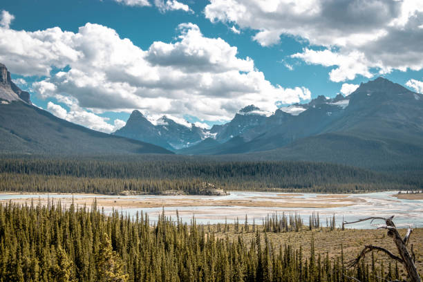 istock River in the Rocky Mountains, Canada on a cloudy day 1454807437
