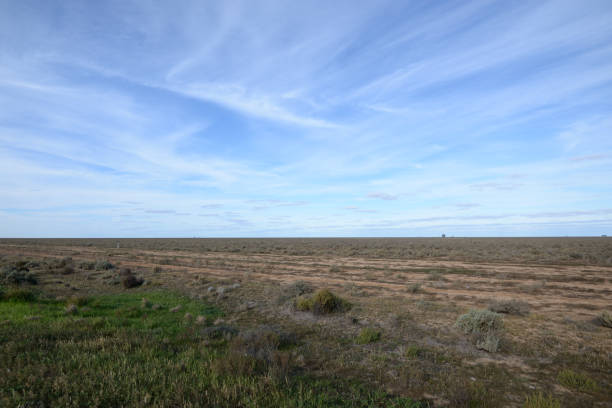 istock Drought in The Long Paddock region - somewhere on the Cobb Highway, NSW 1454809869