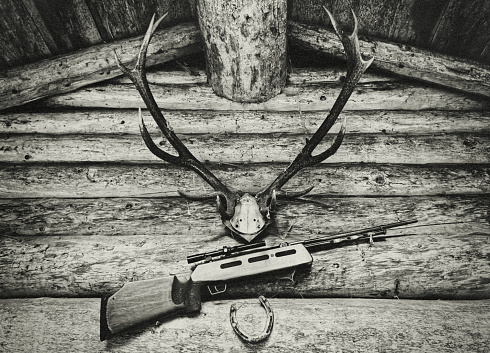 The gable of a hunting lodge in the mountains. A deer antlers, a hunting rifle and a horseshoe are the ornament of the wooden house.
