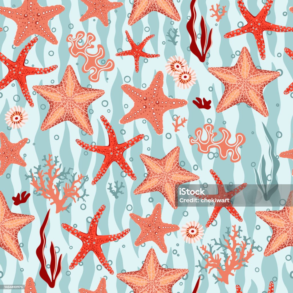 Starfish Patterns Hand Drawn Seamless Pattern With Starfishes Stock Illustration ...