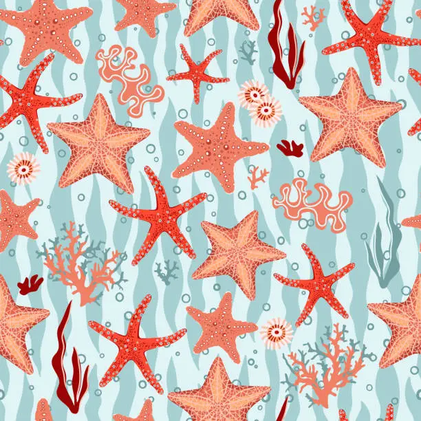 Vector illustration of Hand drawn seamless pattern with starfishes