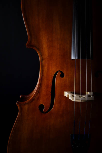 istock Closeup of a Cello on a black background 1454811277