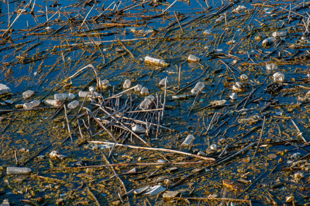Empty thrown into nature Pollution of empty plastic and glass skewers thrown into nature lake grunge stock pictures, royalty-free photos & images