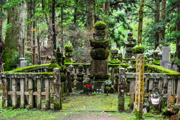 The forest in Yamadera temple way to the high mountain, Japan.
