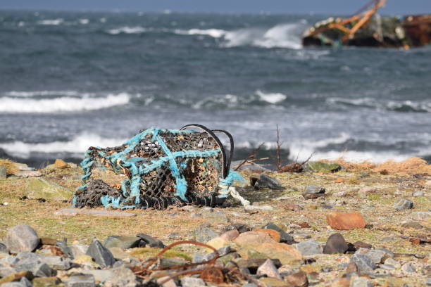istock Sovereign Shipwreck At Cairnbulg Harbour 1454818510
