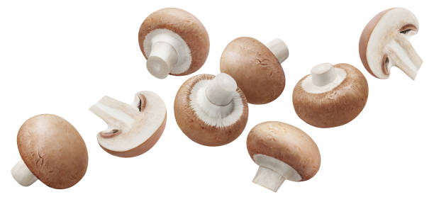 istock Flying champignon mushrooms on white 1454822296
