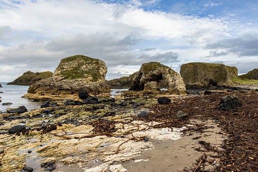 A Basalt sea stackes on the Antrim Coast.