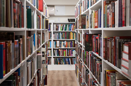 St. Petersburg, Russia - November 15, 2022: Mayakovsky Public Library, shelves with books in the reading room