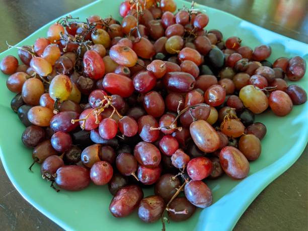 istock Close-up of red grape on the green plate 1454827586