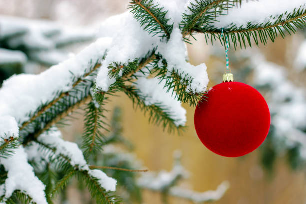 istock Red Christmas ball on spruce branch 1454829285