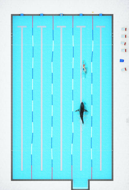 istock Shark in the Swimming pool underwater . 1454833210