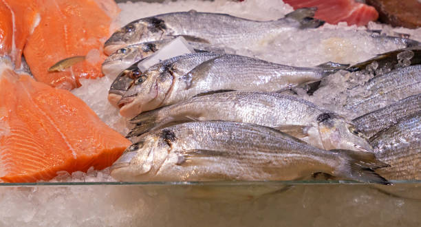 istock Raw fresh fish sold on market 1454833776