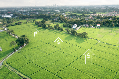 Land value in aerial view consist of landscape, green field, agriculture farm and arrow of rate market price. Real estate or property for sale, buy, mortgage and investment in Chiang Mai of Thailand.