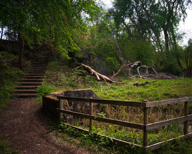 istock Beautiful shot of an old park with trees 1454837502