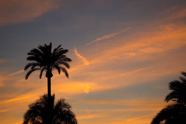 istock Spectacular and colorful sunset in Murcia 1454837837