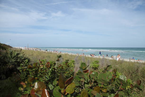 istock Miami Beach, City in Florida. 1454838535