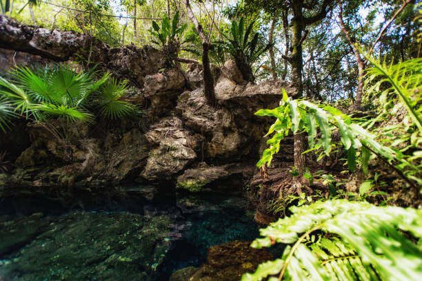 istock Cenote in the jungle 1454841719