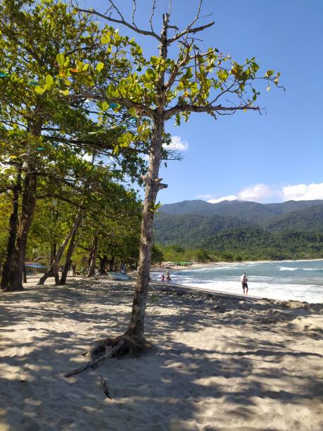 côte d’une plage paradisiaque avant l’océan atlantique sur la côte nord de l’état de sp avec des gens marchant loin au loin - sao sebastiao photos et images de collection