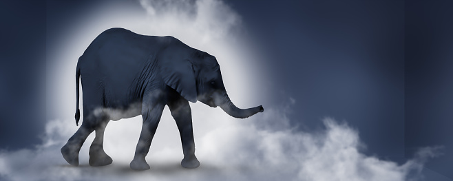 the elephant in the room, symbolic concept banner and metaphor for unsolved problems that nobody wants to see