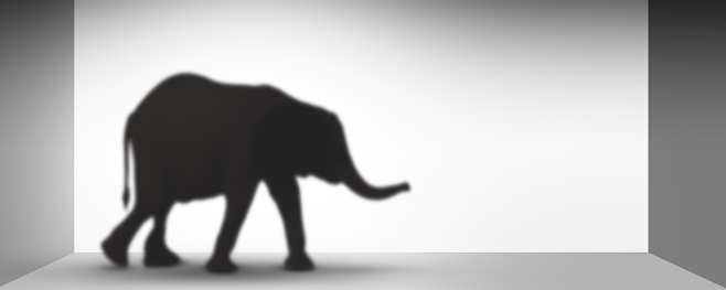 the elephant in a 3d room, symbolic concept banner and metaphor for unsolved problems as an invisible shadow that nobody wants to see