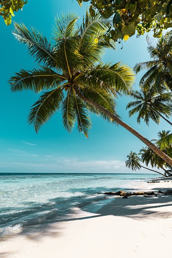 Outdoor activities in beach