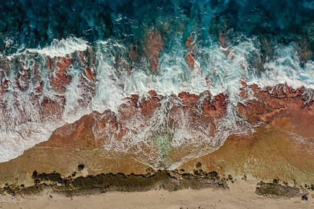 istock French Polynesia, Tikehau Island, South Pacific. Aerial Footage 1454845775