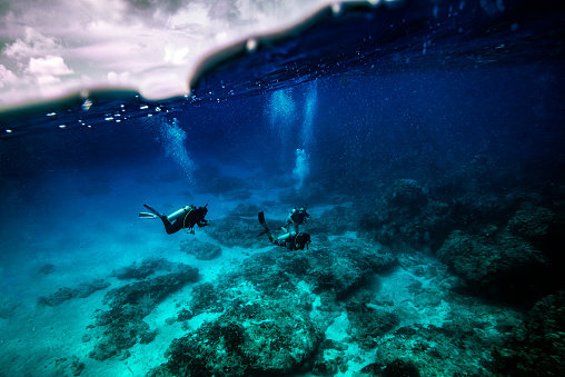 A group of scubadivers explores the ocean waters of Cozumel, Mexico.