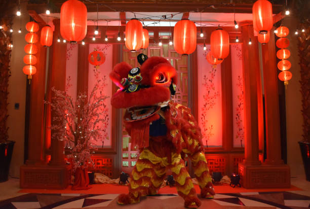 celebrazione tradizionale della danza del leone capodanno cinese - lion dance foto e immagini stock