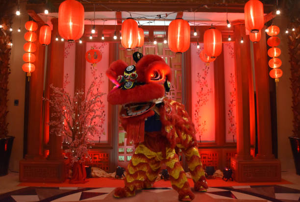 Traditional lion dancing performance celebration chinese new year