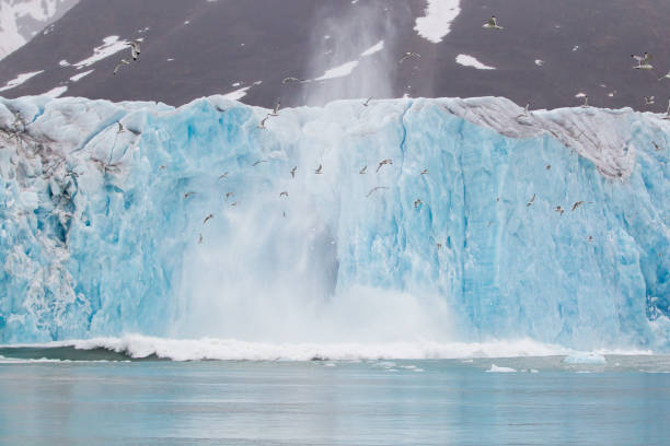 istock Glacial ice floating and calving in the Arctic landscape 1454851483