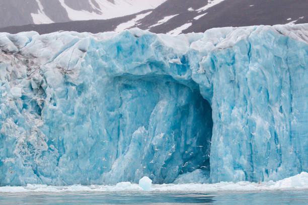 istock Glacial ice floating and calving in the Arctic landscape 1454851485