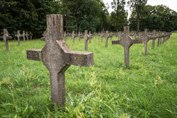 cimetière de garnison polonaise dans la ville de brest. rangées de croix blanches sur herbe verte. - cemetery crossing green grass photos et images de collection