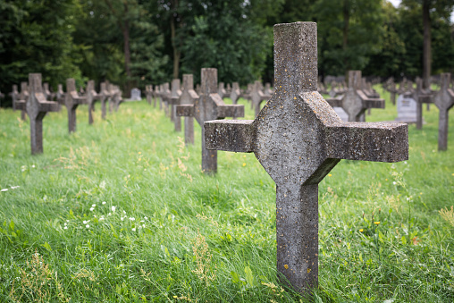 Polish garrison cemetery in the city of Brest. Rows of white crosses on green grass.