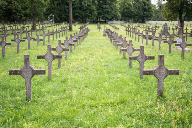 cimetière de garnison polonaise dans la ville de brest. rangées de croix blanches sur herbe verte. - cemetery crossing green grass photos et images de collection