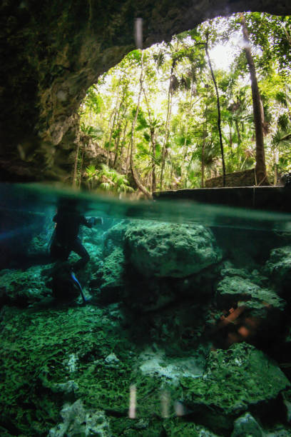 istock Cenote dos ojos above and under 1454851670