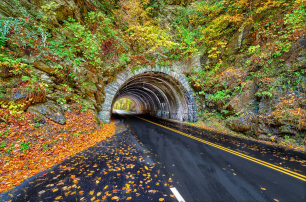 istock Smoky Mountain Tunnel With Fall Colors 1454853013