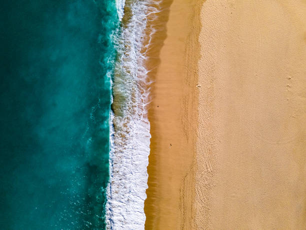 istock The beach of Los Cabos San Lucas, Mexico 1454853164