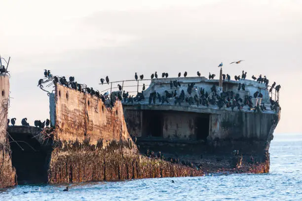 Close-up of the SS Palo Alto, an old World War II shipwreck around sunset, off the coast of Aptos, near seacliff beach, Californa