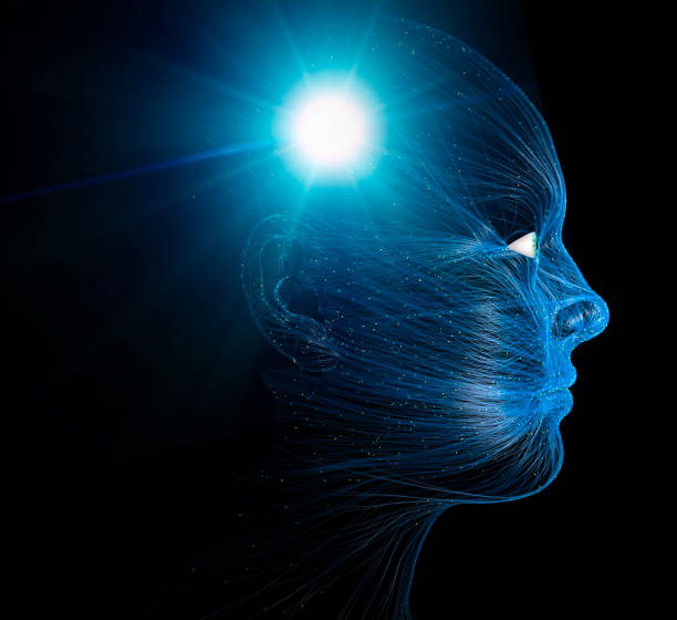 istock Neurology, philosophy: connections, the development of thought and reflection. Brain and mind 1454855004