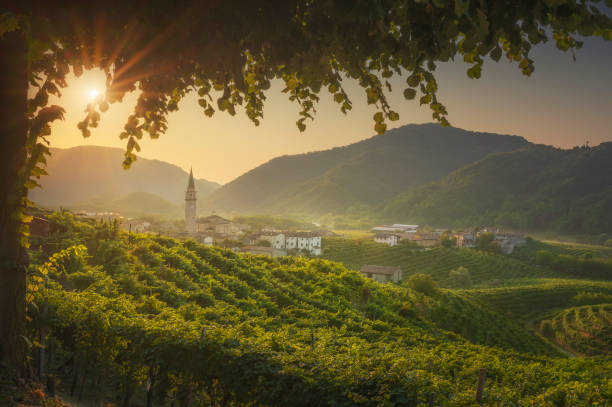 wzgórza prosecco, winnice i wioska guia o świcie. miejsce unesco. valdobbiadene, wenecja euganejska, włochy - veneto zdjęcia i obrazy z banku zdjęć