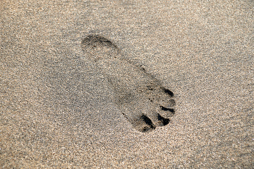 a left footprint in the beige wet sand, left foot , points to the bottom right