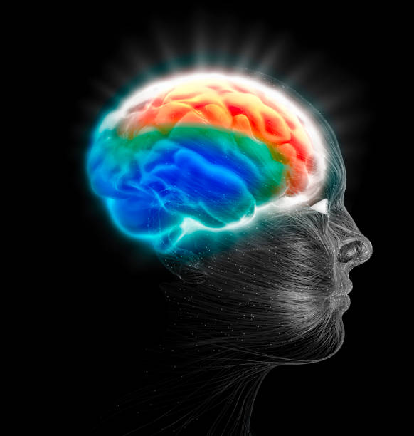 istock Neurology, philosophy: connections, the development of thought and reflection. Brain and mind 1454859657
