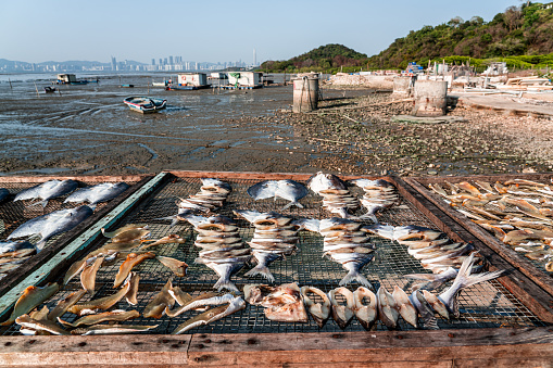 Fresh fish on metal trays at market in Hong Kong