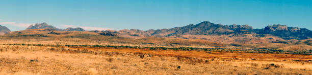 paisaje del sur de texas - south texas fotografías e imágenes de stock