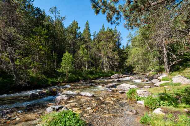 istock Scenic rocky, shallow river flowing through the forest 1454864300