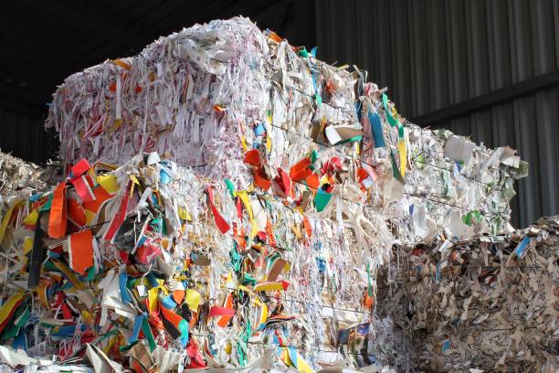 istock Wastepaper compact texture pile for recycling on sorting plant. Technology of reuse materials. Stack of shredded paper 1454865810